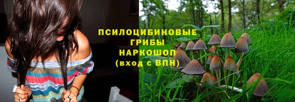 спайс Балахна