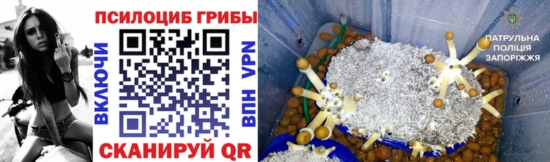 Галлюциногенные грибы MAGIC MUSHROOMS  Костерёво 